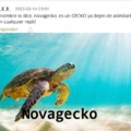Novagecko