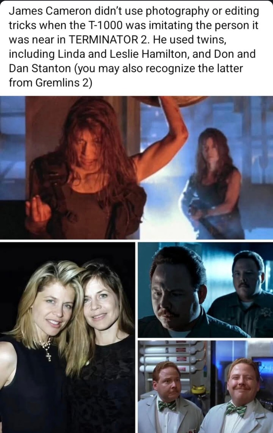 James Cameron used real twins in Terminator 2 because CGI was for quitters back then - meme