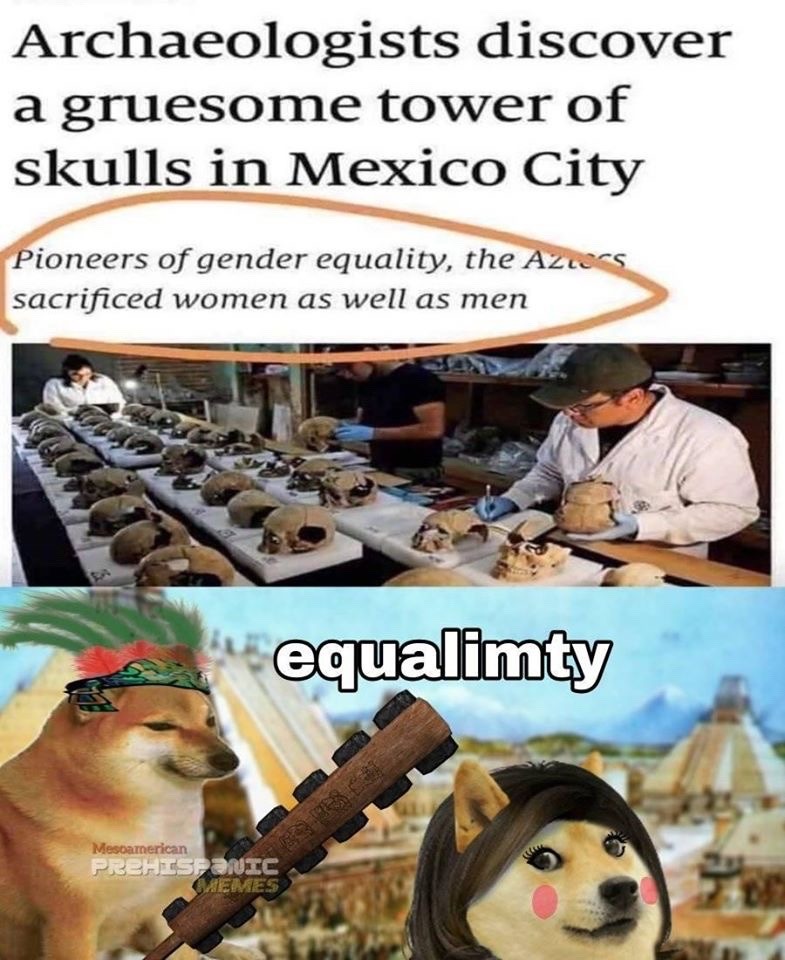 true gender equality - meme