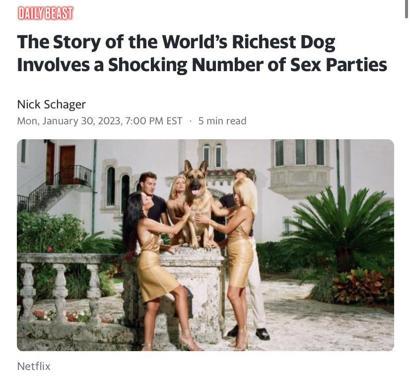 Richest dog -January 2023 meme