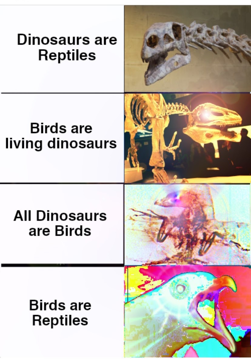 Dinosaur - meme