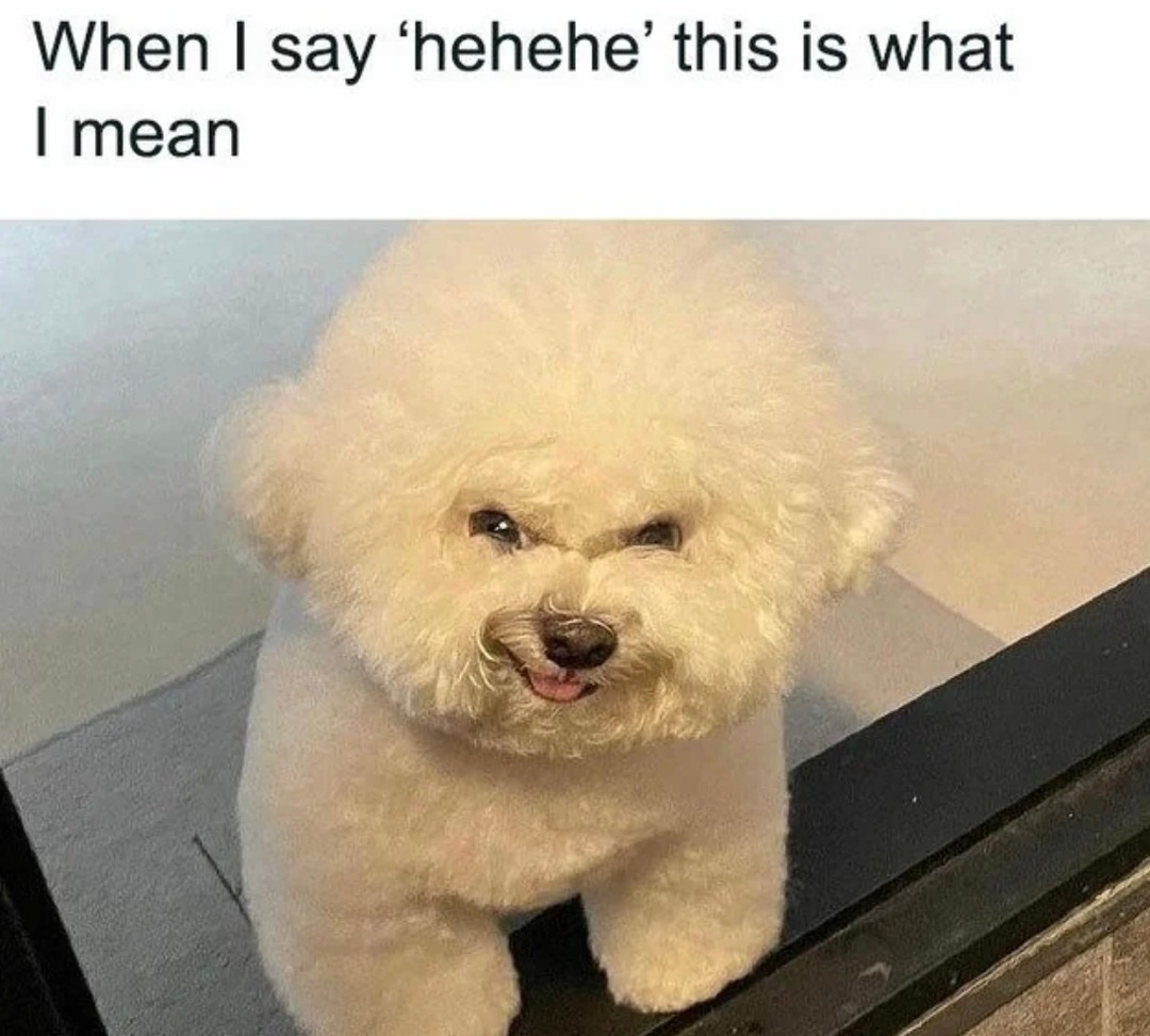 When I say hehehe, just know this face is behind it - meme