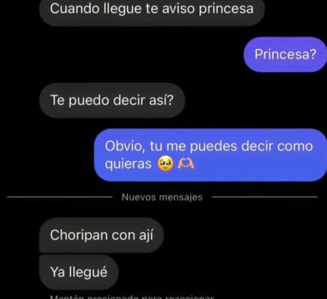Cuando llego y pregunto si puedo decirte princesa, obvio sí - meme