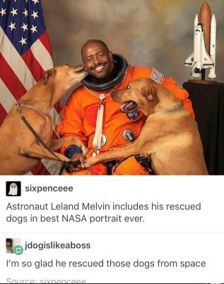 I want a space doggo - meme