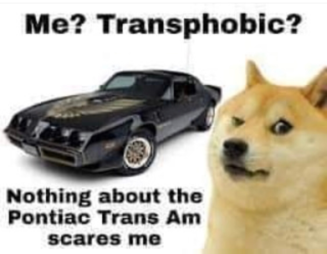 the only trans I’ll ever be inside of - meme