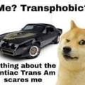 the only trans I’ll ever be inside of