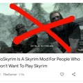 No skyrim