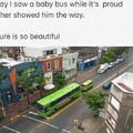 Baby bus