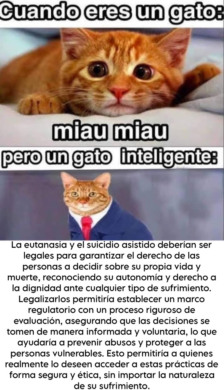 Sí - meme