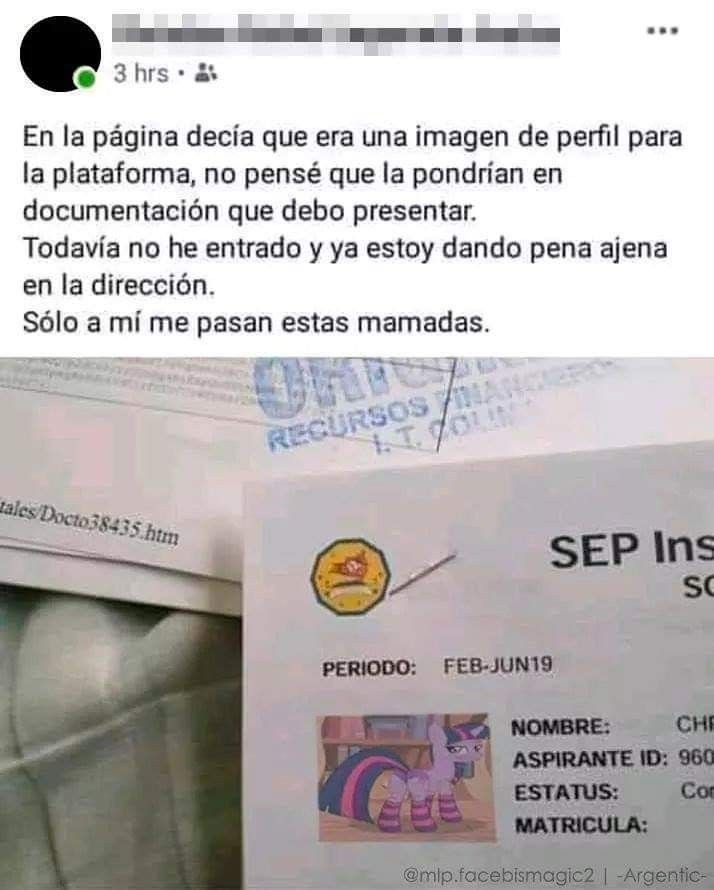 XDDDDDDDDDDD - meme