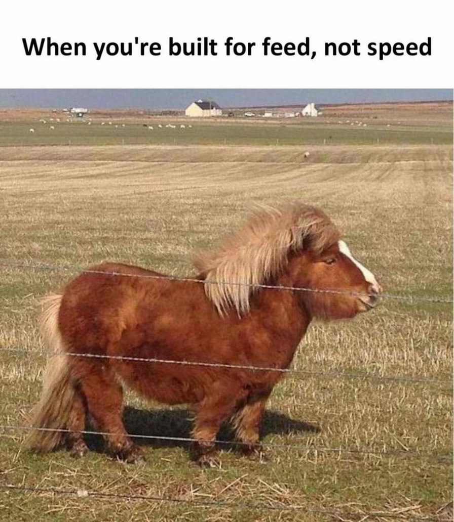 ﻿When you’re built for feed, not speed