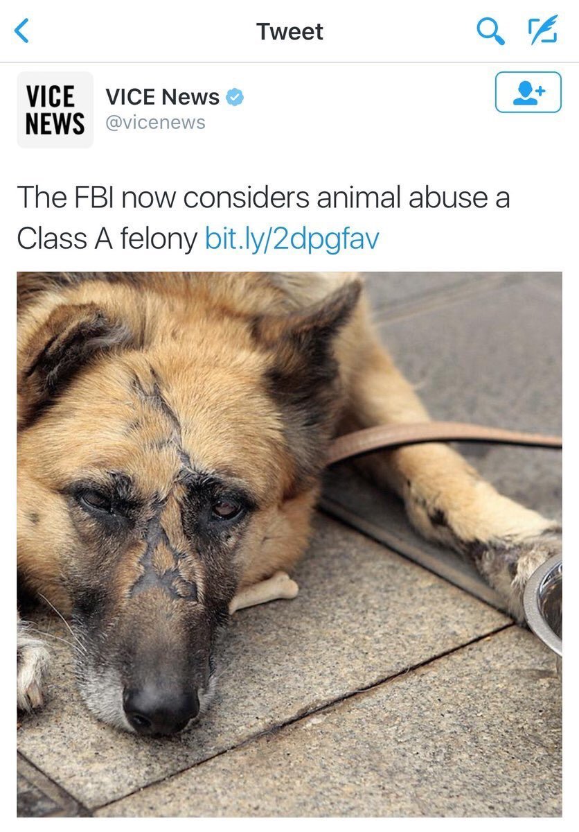 Fuck animal abusers - meme