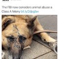 Fuck animal abusers