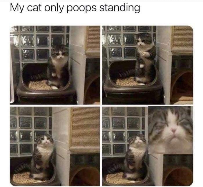 Strange - meme