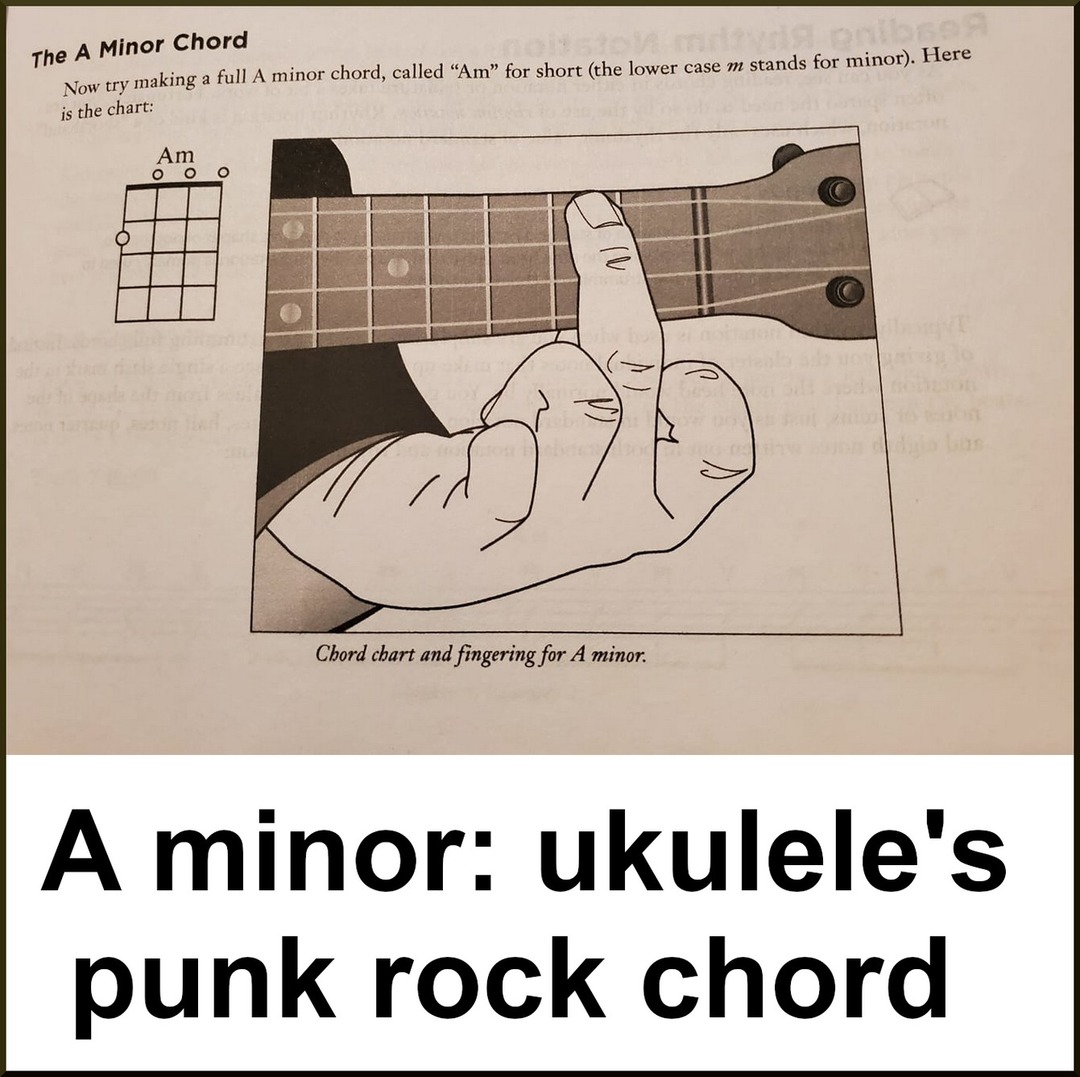 A minor: ukulele's punk rock chord - meme