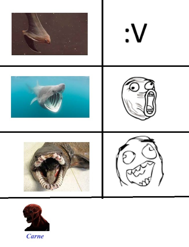 Memes de peces extraños
