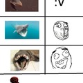 Memes de peces extraños
