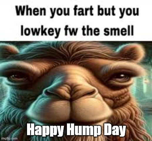 First Hump Day meme of April