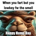 First Hump Day meme of April