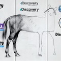 La involución de Discovery Channel en una sola imagen...