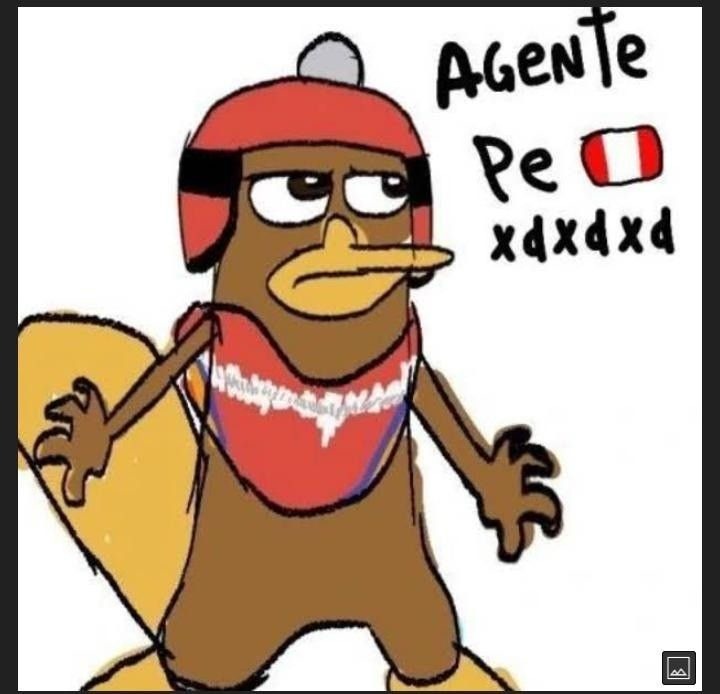 Perru el ornitorrinco - meme