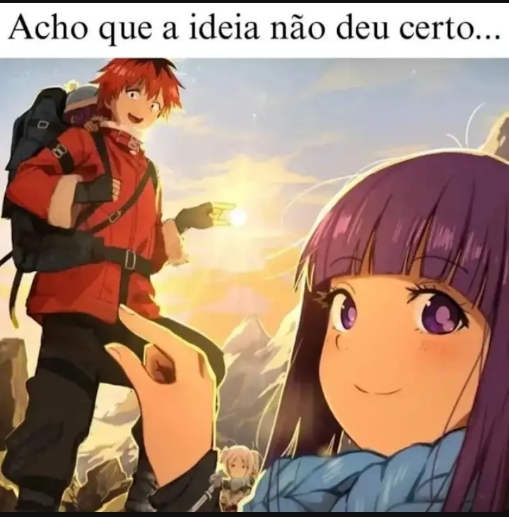 Acho que a idéia tá certinha - meme