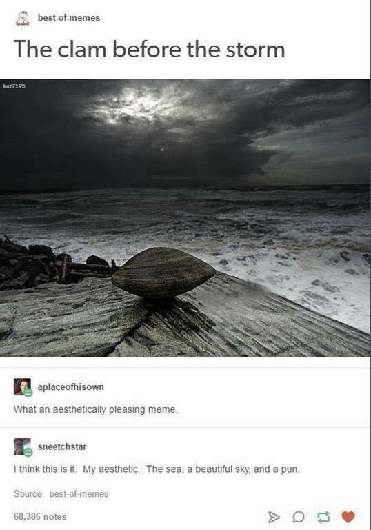 The clam before the storm… poetic and slightly crunchy - meme