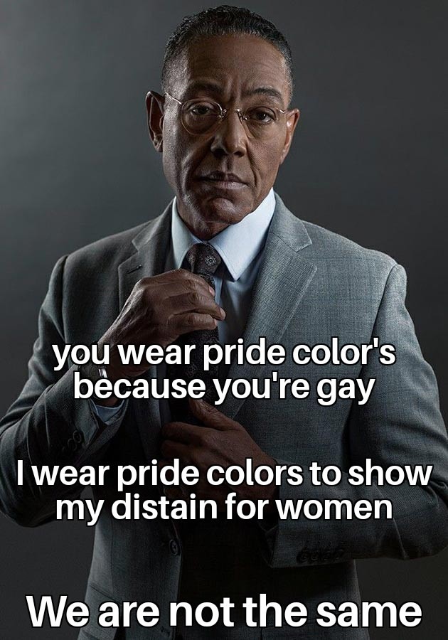 Let's make the pride flag a symbol of misogyny - meme