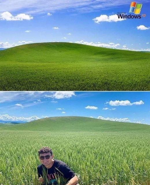 Windows XP - meme