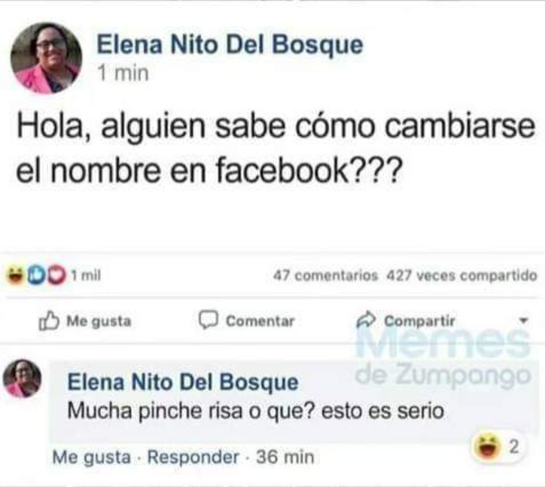 Elena Nito del Bosque - meme