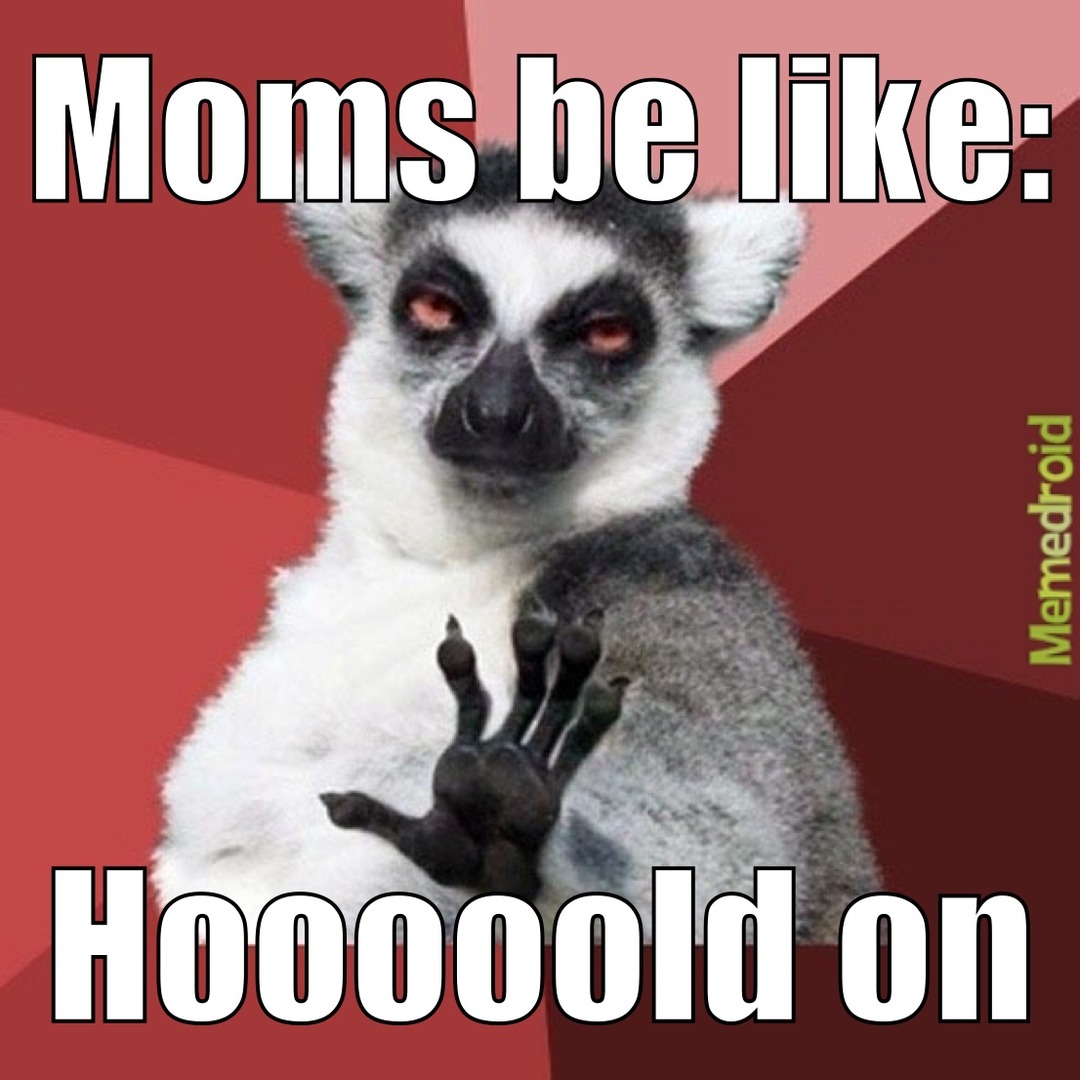 Chill Out Lemur - meme