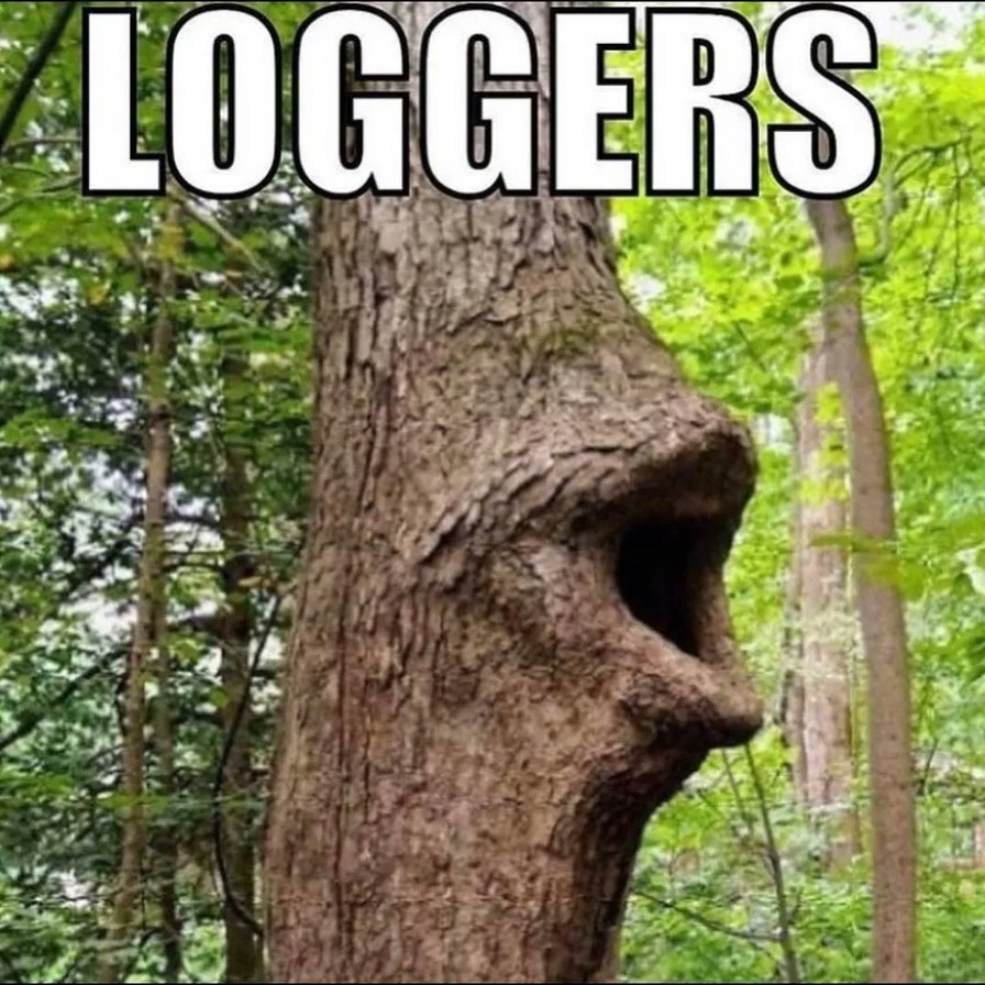 Loggers - meme