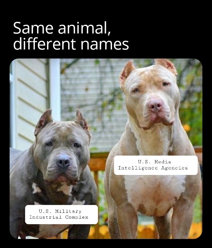 I hate to use Pit Bulls for the example, but you get the idea - meme