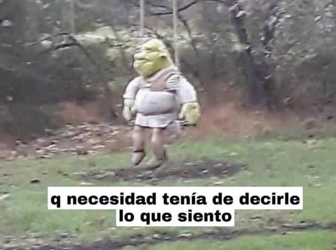 Shrek triste meme