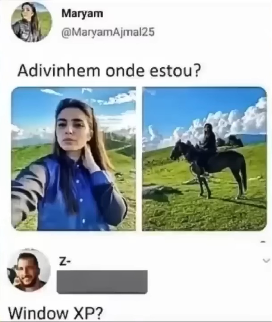 Sim - meme