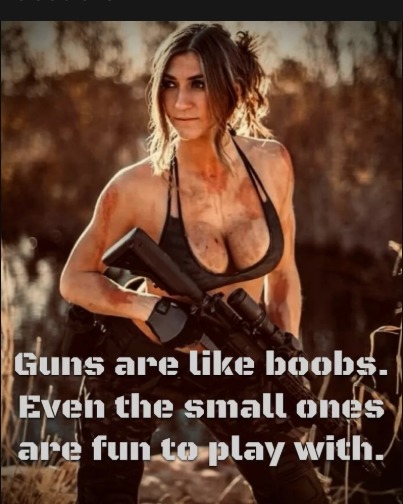 guns - meme