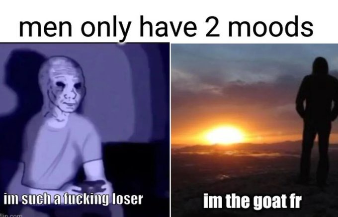 bipolar - meme