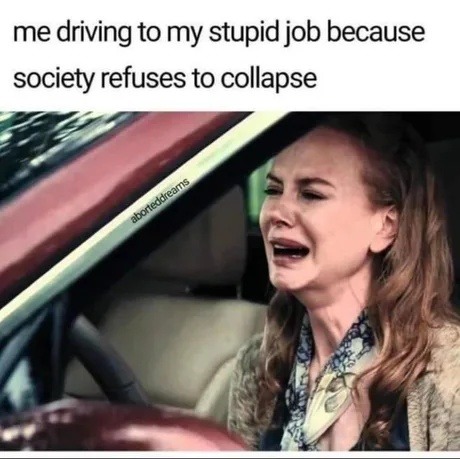 Driving to my dumb job cause society refuses to implode - meme