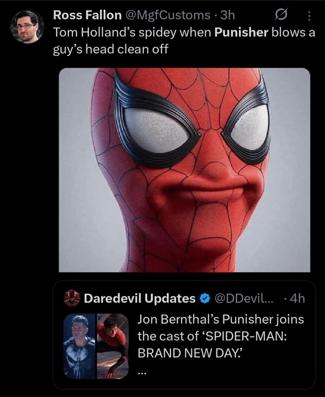 Bernthal’s Punisher joins Spider‑Man and chaos ensues - meme