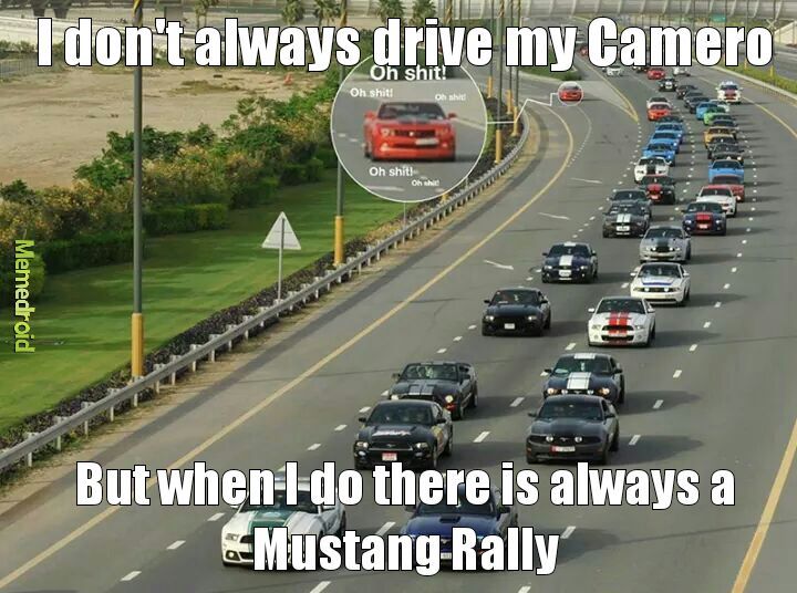 Mustang Rally - meme