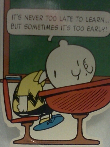 Charlie Brown feels our pain - meme