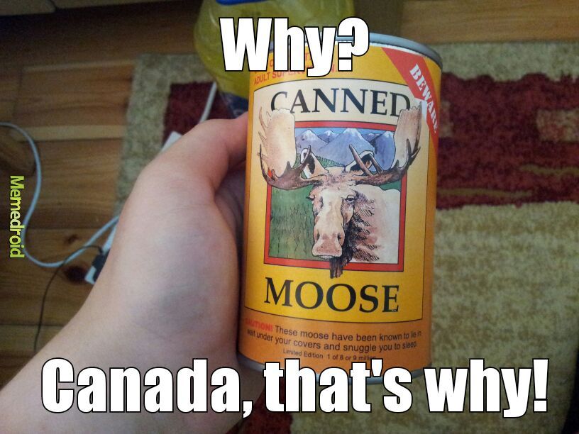 Canned Moose - meme