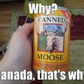 Canned Moose