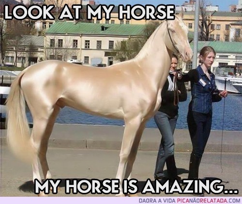 cavalo lindo - meme
