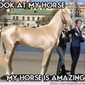 cavalo lindo