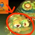 commented item thumbnail