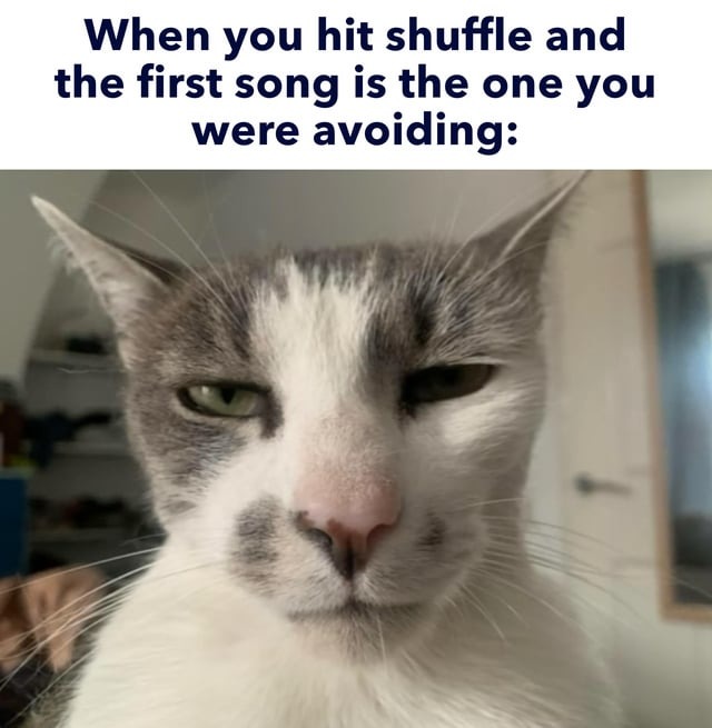 Shuffle playlist meme
