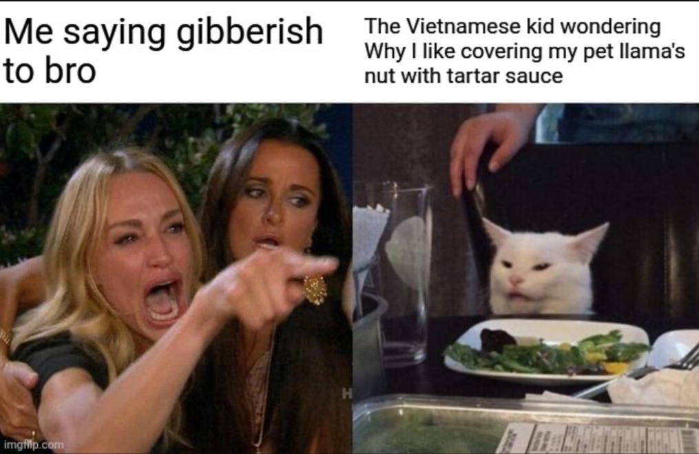 Language Troubles - meme