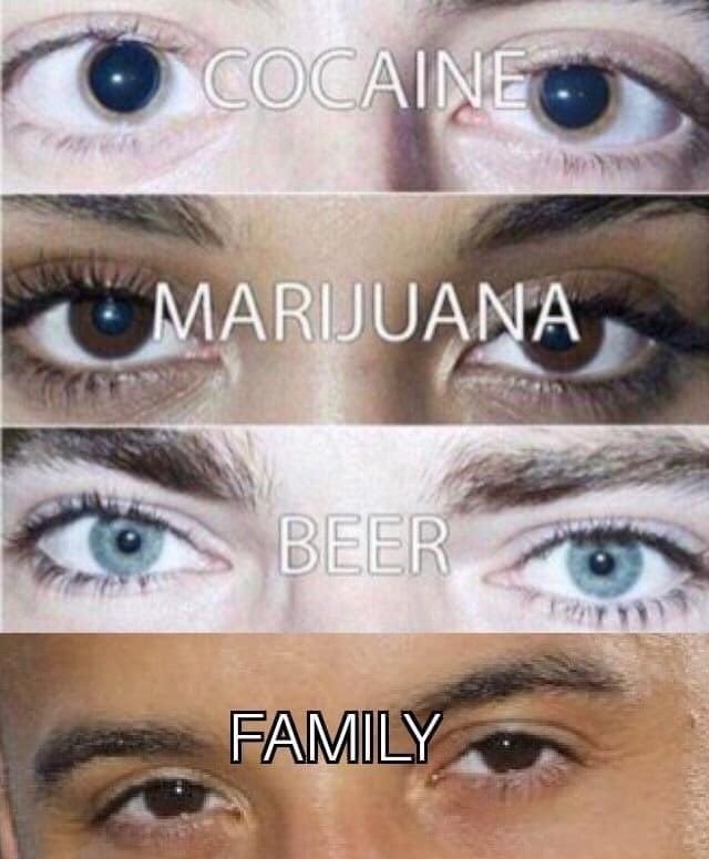 Nothing stronger than family - meme