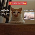 Posting cat memes until I'm banned